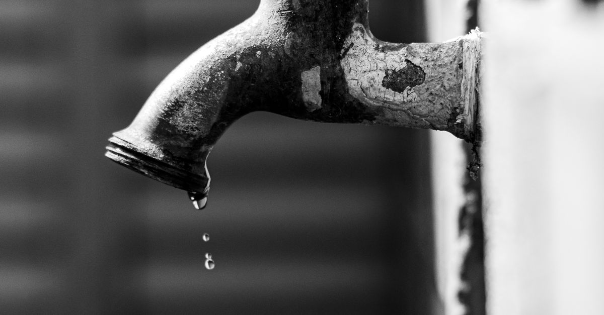 Immediate Solutions for Toilet Overflow Emergencies in Bathurst