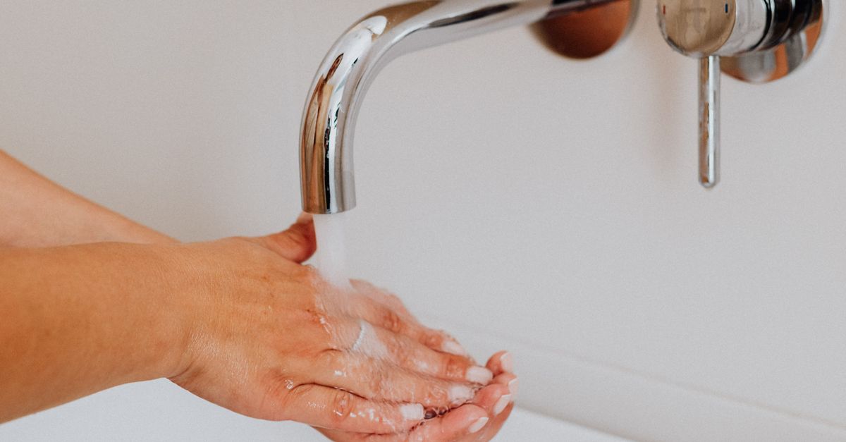 The Importance of Timely Pipe Repairs to Prevent Water Damage