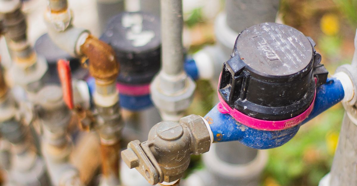 Understanding Common Causes of Blocked Drains in Bathurst